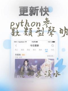 python参数类型声明