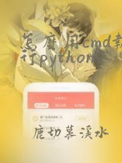 怎么用cmd执行python