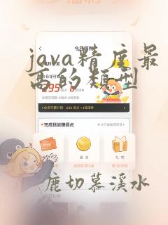 java精度最高的类型