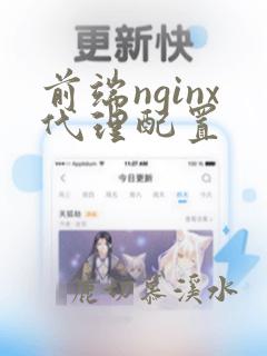 前端nginx代理配置
