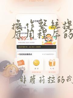 操作系统提供给应用程序的接口