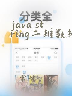 java string二维数组