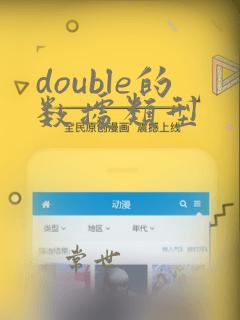 double的数据类型