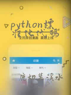 python标准化代码