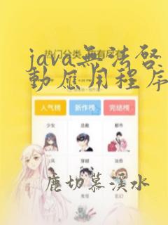 java无法启动应用程序