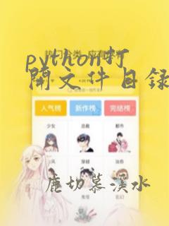 python打开文件目录