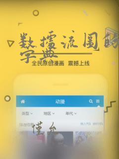 数据流图的数据字典
