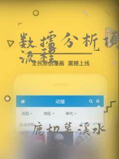数据分析项目的流程