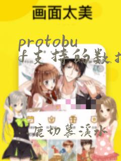 protobuf支持的数据类型