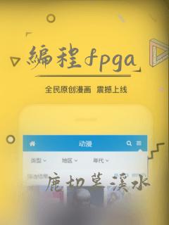 编程fpga