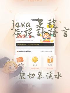 java 是程序设计语言