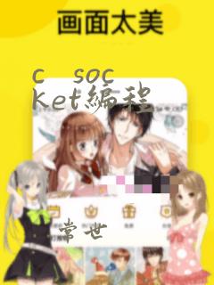 c socket编程