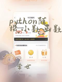 python随机小数函数