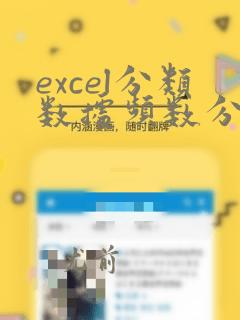 excel分类数据频数分布表
