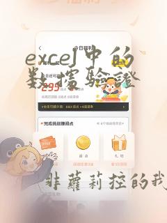 excel中的数据验证