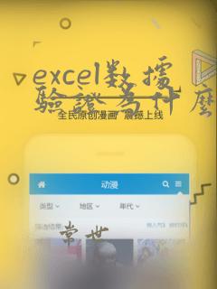 excel数据验证为什么找不到