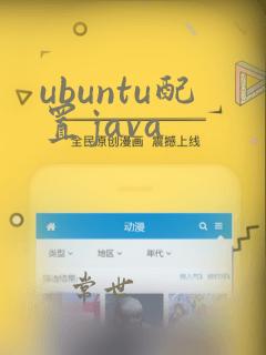ubuntu配置java