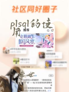 plsql的使用