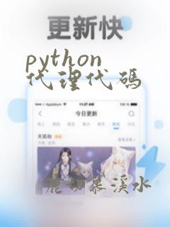 python 代理代码