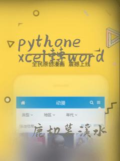 pythonexcel转word
