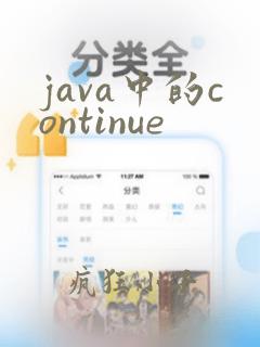 java中的continue