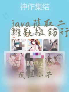 java获取二维数组的行和列