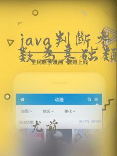 java判断参数为基础类型