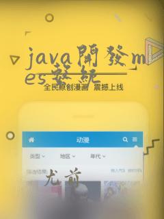 java开发mes系统