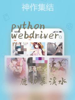 python webdriver
