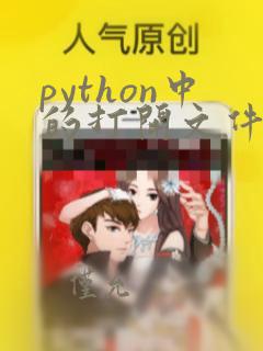 python中的打开文件的用法