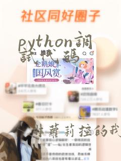 python调试代码