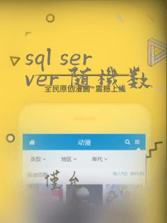 sql server 随机数