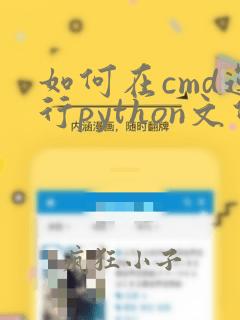 如何在cmd运行python文件