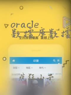 oracle 数据库数据恢复