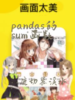 pandas的sum函数