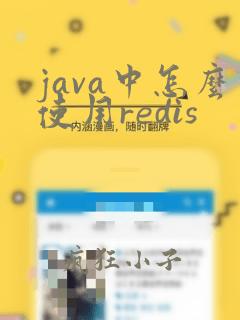 java中怎么使用redis