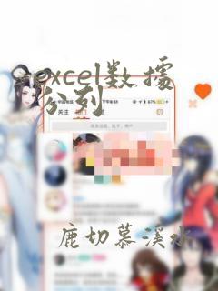 excel数据分列