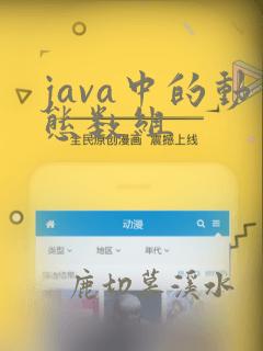 java中的动态数组