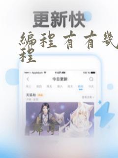 编程有有几种编程