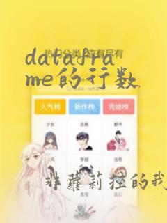 dataframe的行数