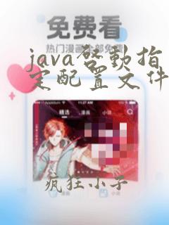 java启动指定配置文件