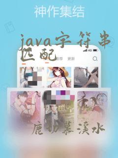 java字符串匹配