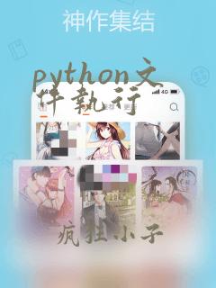python文件执行