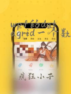wpf的datagrid一个数据