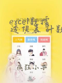 excel数据透视表 计数