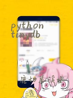python tinydb
