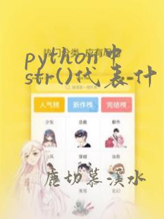 python中str()代表什么