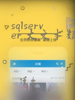 sqlserver 大文本类型