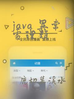 java 异常处理类