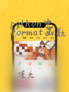 python中format函数什么意思